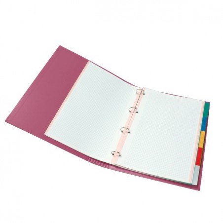 Carpeta Cartón Plus 4a 25mm Gomas con Recambio Rosa Fuerte