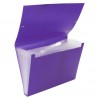 Carpeta Clasificadora Plástico Opaca Violeta