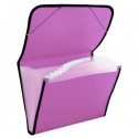 Carpeta Clasificadora Plástico Translúcida Fucsia