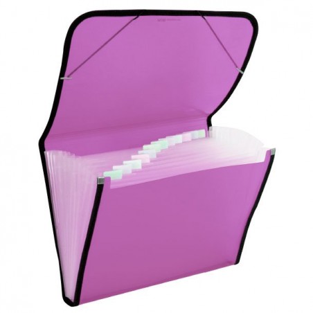 Carpeta Clasificadora Plástico Translúcida Fucsia