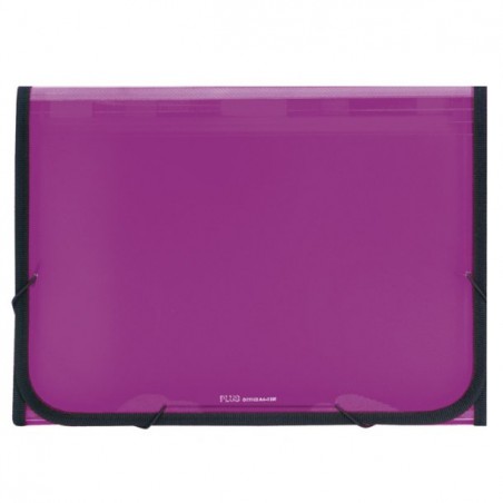 Carpeta Clasificadora Plástico Translúcida Fucsia