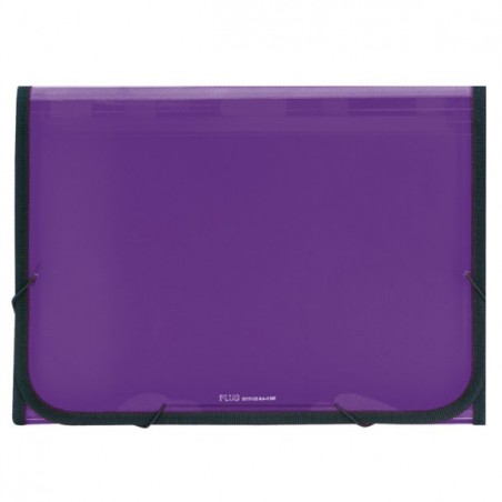 Carpeta Clasificadora Plástico Translúcida Violeta
