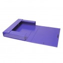 Carpeta Proyecto Nº3 Purpura Plus