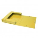 Carpeta Proyecto Nº5 Amarillo Plus