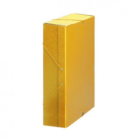Carpeta Proyecto Nº9 Amarillo
